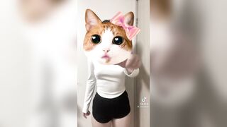 틱톡 ㅇㄲ (1) 2